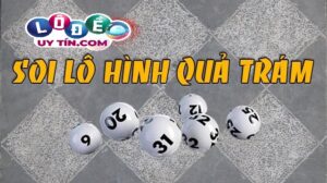 Cách bắt bạch thủ lô hình quả trám đơn giản hiệu quả