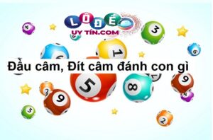 Hướng dẫn cách chơi lô đề đơn giản, hiệu quả và dễ trúng nhất
