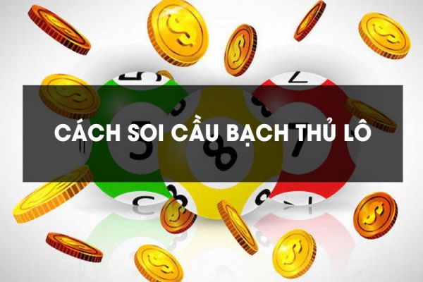 soi-cau-bach-thu-lo-1