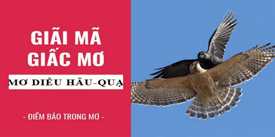 Mơ Diều Hâu - Điềm Báo Tốt Xấu Và Dự Đoán Con Số May Mắn