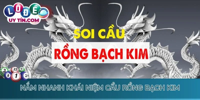 Cầu Rồng Bạch Kim - Cách Soi Cầu Lô Đề Chốt Lời Cực Khủng 1 Nắm nhanh khái niệm Cầu Rồng Bạch Kim